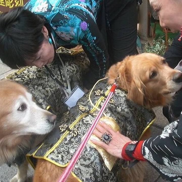 9ccf104f d05d 4a16 a3f0 8eab937c7320