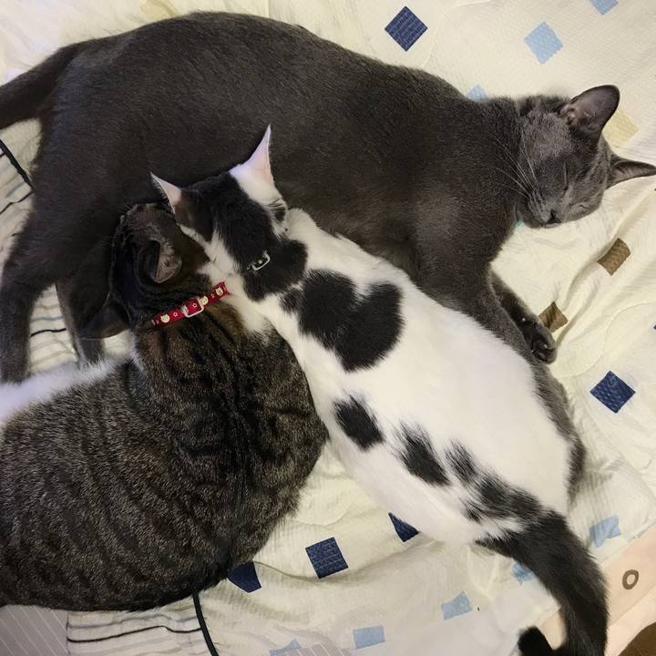 9ccfec50 337e 42e1 9dd2 04eeed3b14f8