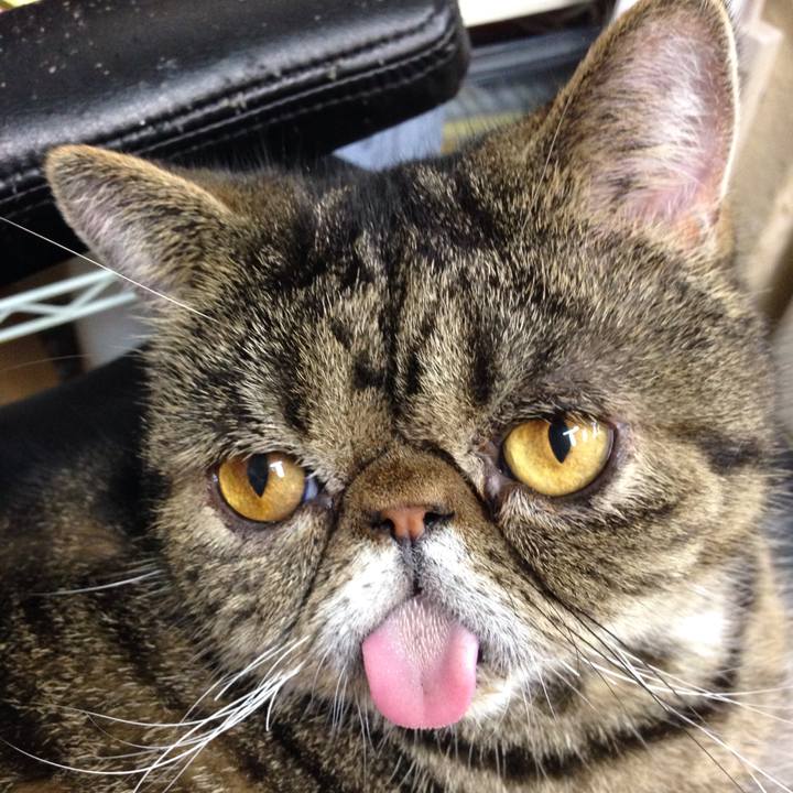 9cd04ea9 b597 4c1c 9dca 611421101a67