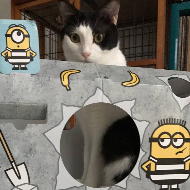 9cd06cb0 e280 4eef 8291 5630fee13dce