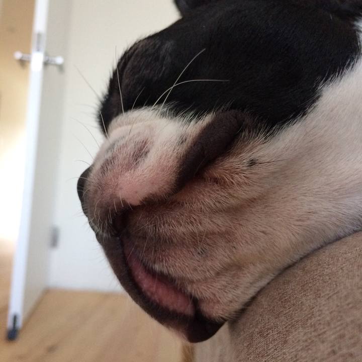 9cd15e40 2c70 4a09 99ed 337f3940b506