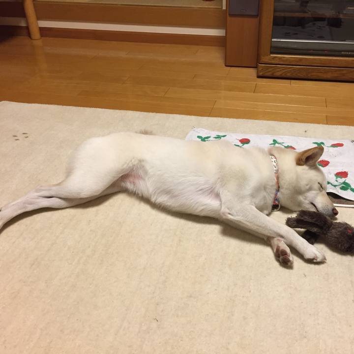 9cd17e87 f51c 45a6 b7bd 1474a84351f6