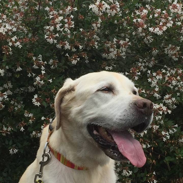 9cd1880c 9859 428c 851a 4b7b7e57f895