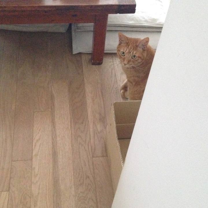 9cd19df6 227d 410c 92f9 59b6b94fcbdb