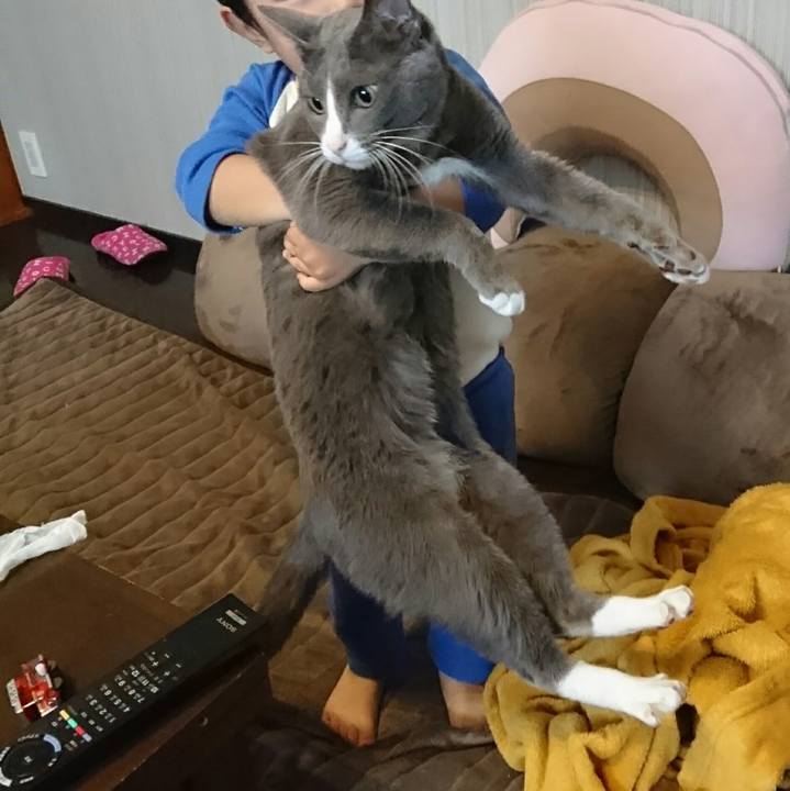 9cd1aecd 01aa 4dbd 89b6 cb2f5abefebc