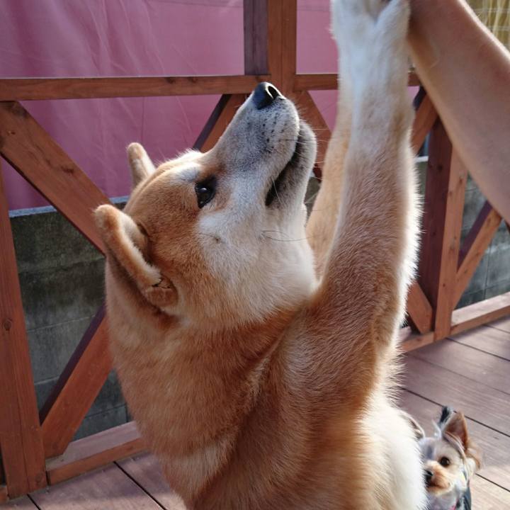 9cd27530 fecc 4180 96c6 ec42db606cff