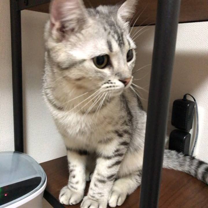 9cd2f6ed 35f6 4f39 98ac acff0c7cfe41