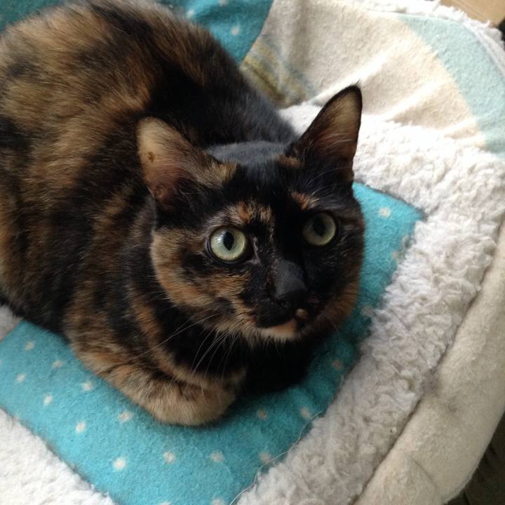 9cd2fcba cafd 4769 8ff9 5d184cf5d31d