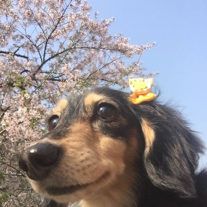 9cd367ca cf7b 499d a292 0f01e99c578c