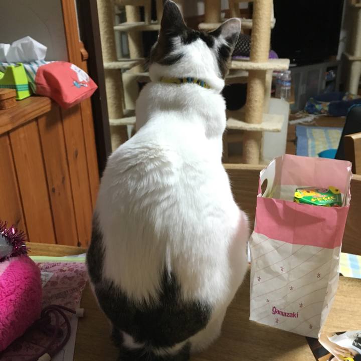 9cd406cb 97d7 4b29 be0b 293b8cbb3986