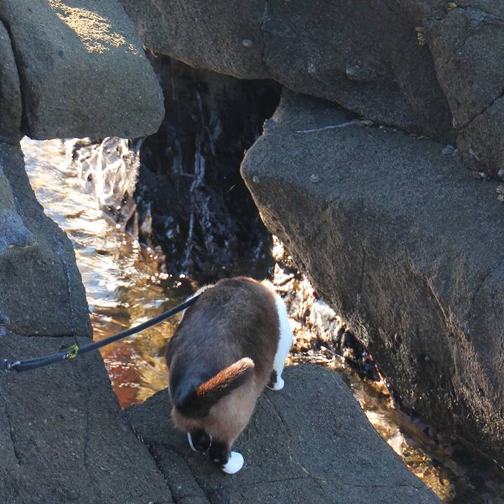 9cd4e887 dd87 462d 96cd 5e24b868309a