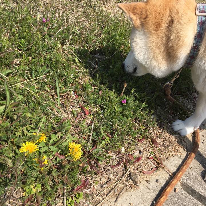 9cd4fc85 c6ce 4bf8 ac87 9cba9974cd42