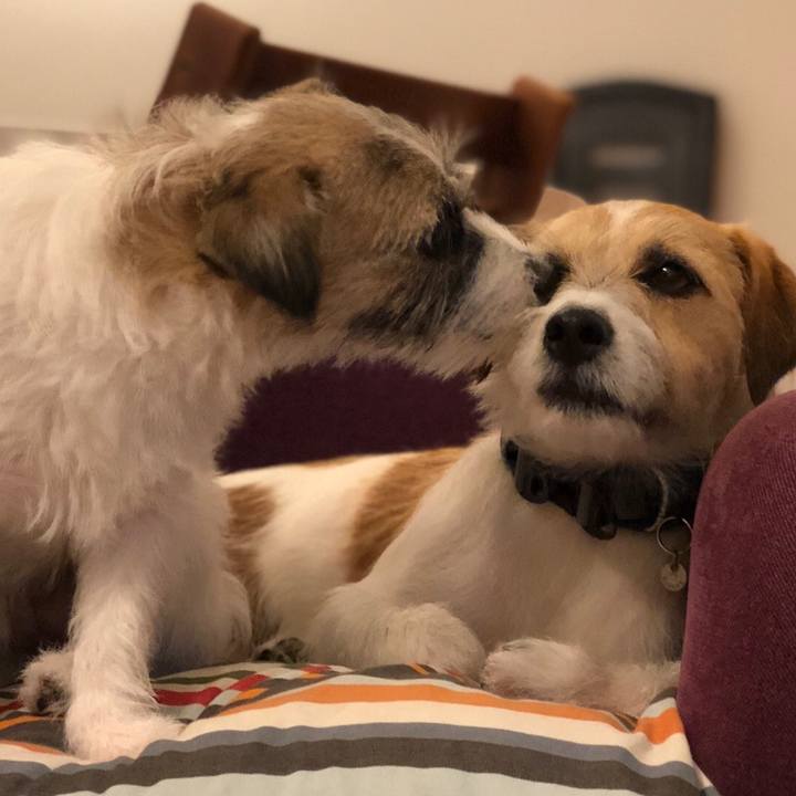 9cd5295b 9632 4d40 af21 3de85f6dcaa7