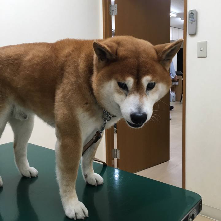 9cd542c1 1db7 400c b2a8 0a6a9b00bfed