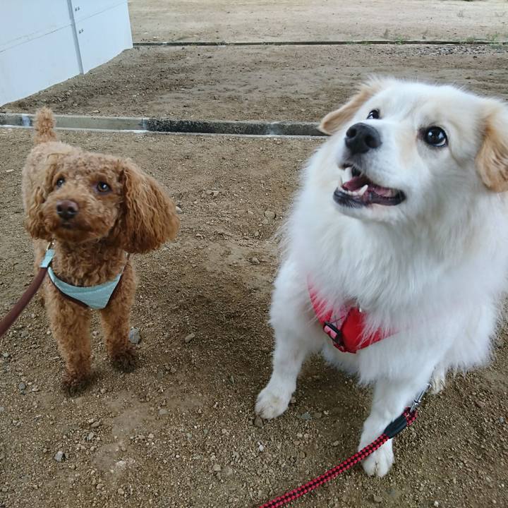 9cd578e0 7fe9 4d0f 8777 ddd96d640a33