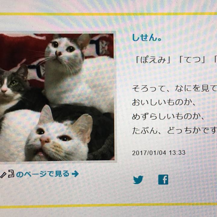 9cd59fa9 b65d 40a2 a907 c258e0168c39