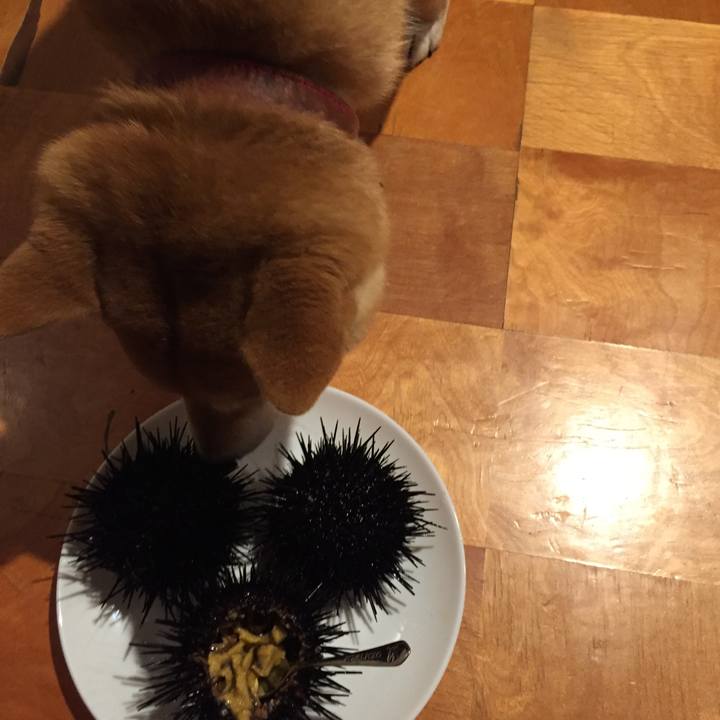 9cd61362 95a4 4415 8b71 c08ea66e8add