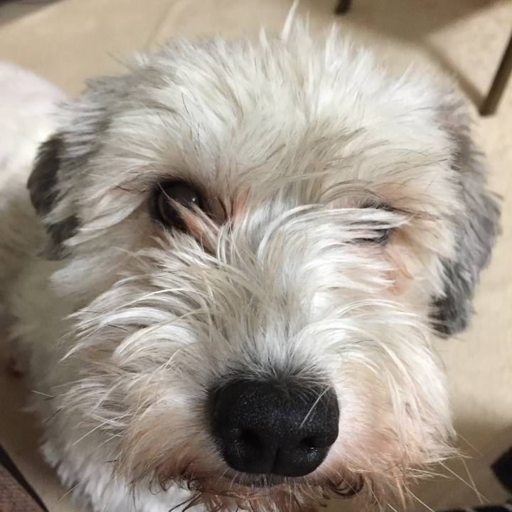 9cd625d1 78c3 4411 b446 60f6c4e0dd13