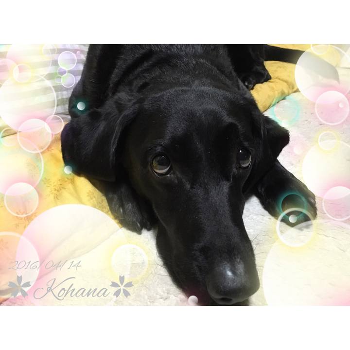 9cd68c72 c568 4546 ab0c 9a79b5b858d5