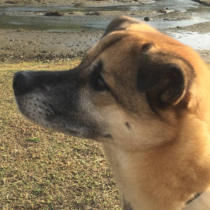 9cd6eac8 2a06 42fd 97ee 7683ac31e534