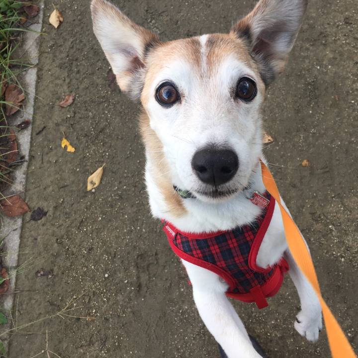 9cd6fd39 43d7 4bb5 b6ee 002f24a62b71