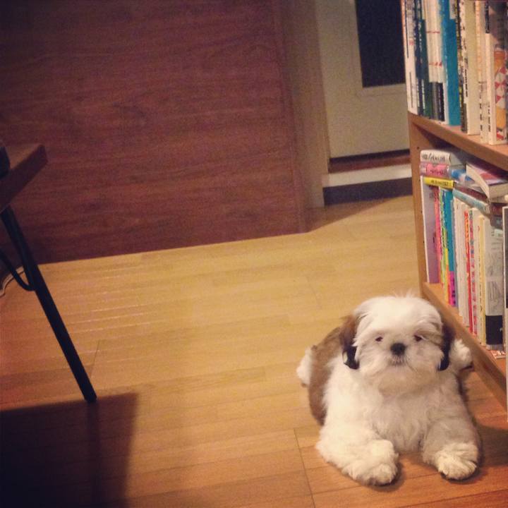 9cd781e9 6948 48e3 850f 07a495ca92e9