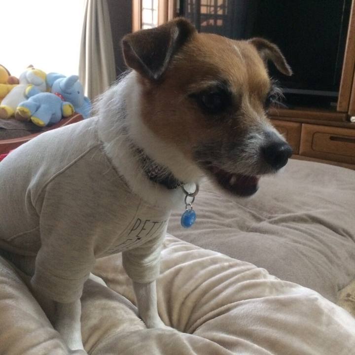 9cd8a724 551f 4592 ab69 50706b8ca7ad