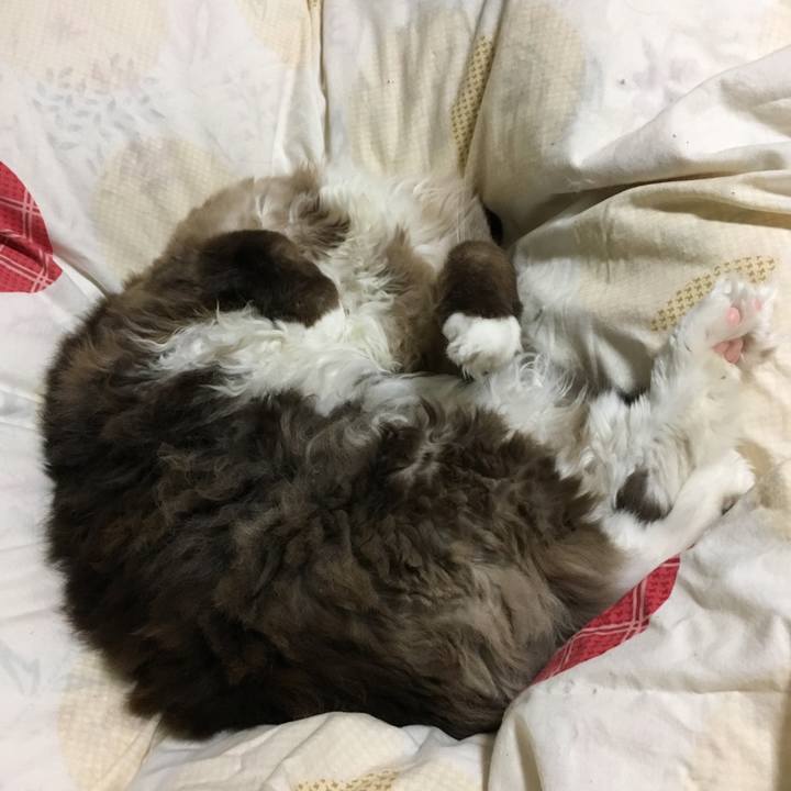 9cd90bbd 7b53 4e5e b32d 01338aa76939