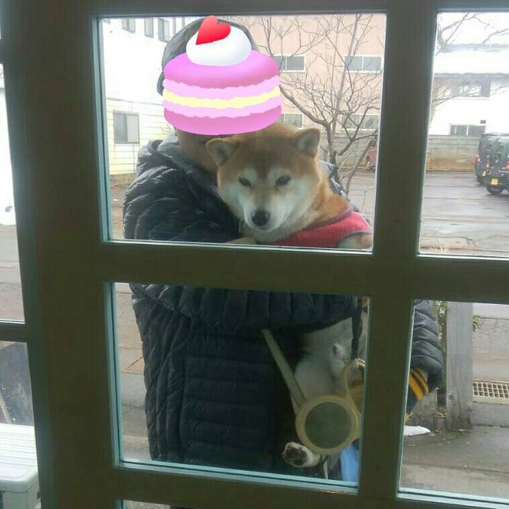 9cd912fe aea0 4cfe b88b 5d7b192f4b2e