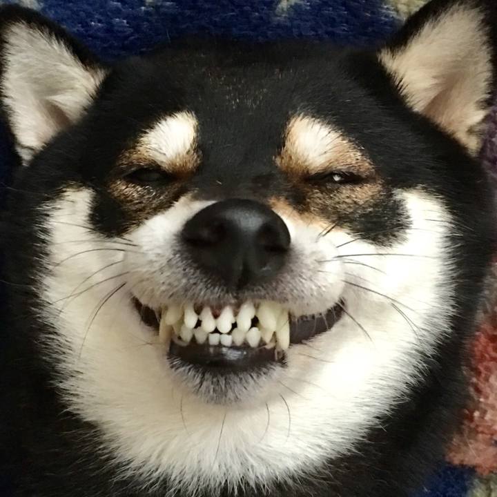 9cd92267 f494 4b9c 9396 0c1c9edaffc4