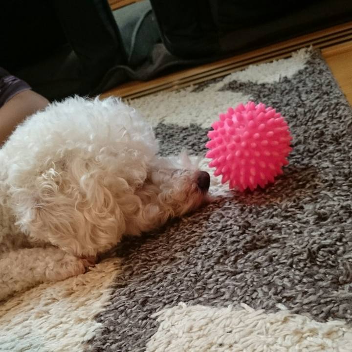 9cd9d9f7 4ca2 4d31 9944 29bbbe072505