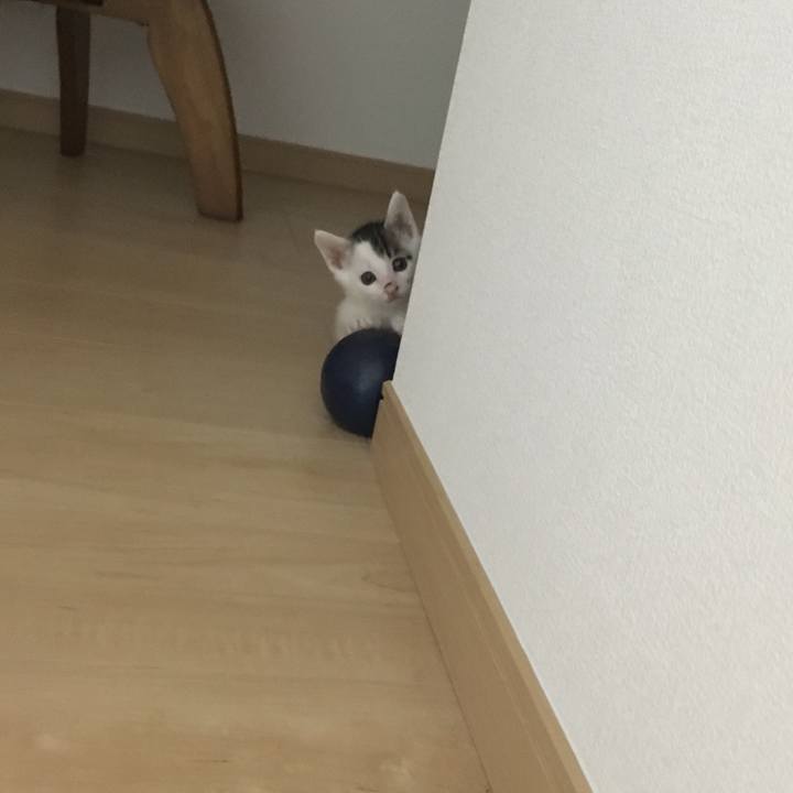 9cda599c 90bc 48f6 94ef 42400b4fac2e