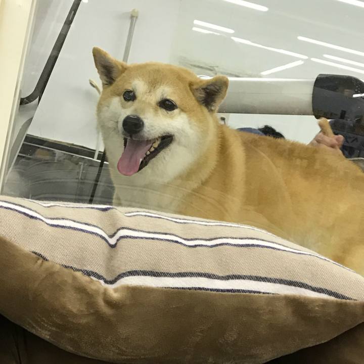 9cda9fbb 0558 4fad 852a bc6c7259d259