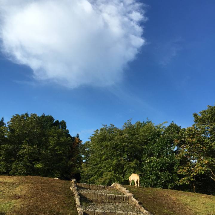 9cdb280a c7b5 4386 9c12 52315934083f