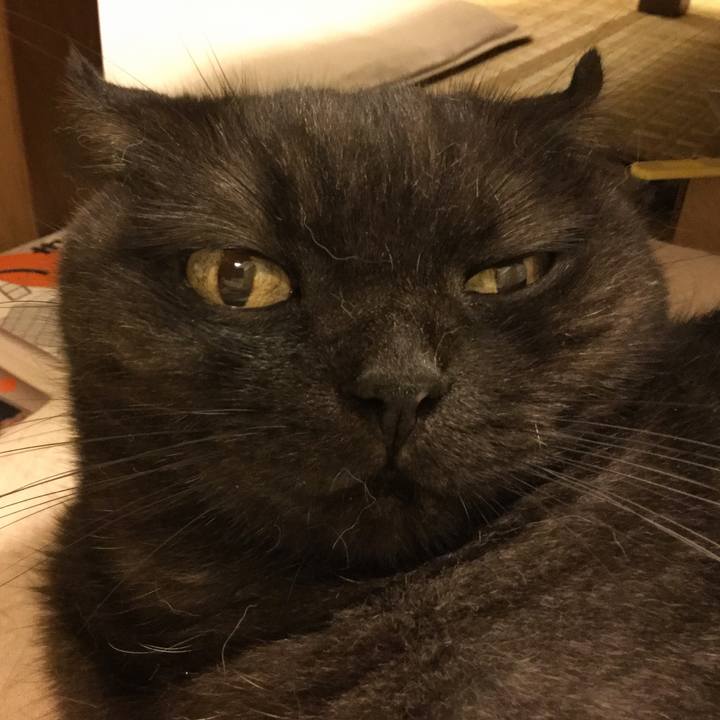 9cdbf40c 8a45 437d a43d d276c1d0ed2e