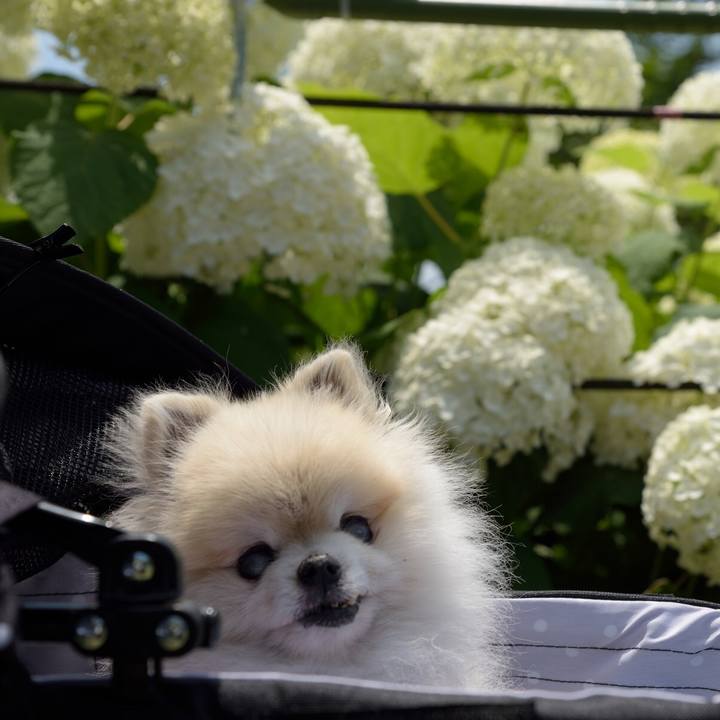 9cdc6c29 21f5 42c6 9f1d 30574e95b8b1