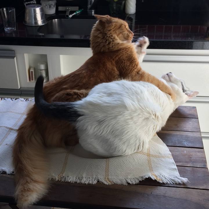 9cdcc68e aa23 4785 8d78 f59cc910a1ff