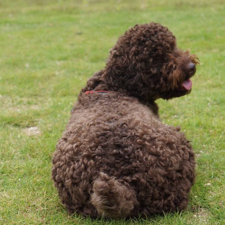 9cdcd2bc 081f 4316 856c de52b1987939