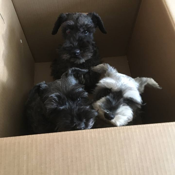 9cdd38c3 0ad7 4fb5 a7c8 a9312066ccca