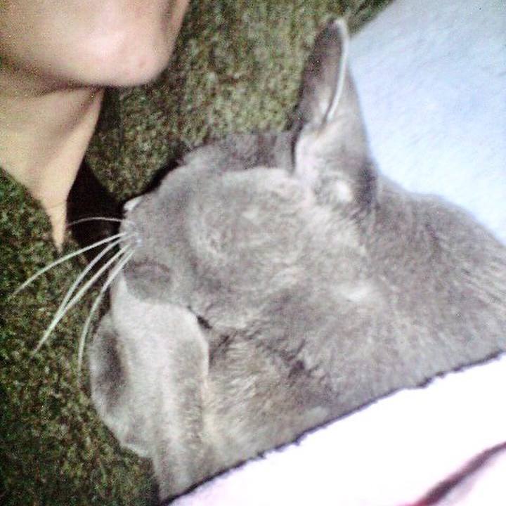 9cdea77a fbc9 41cf 918d b16b58bafd7f