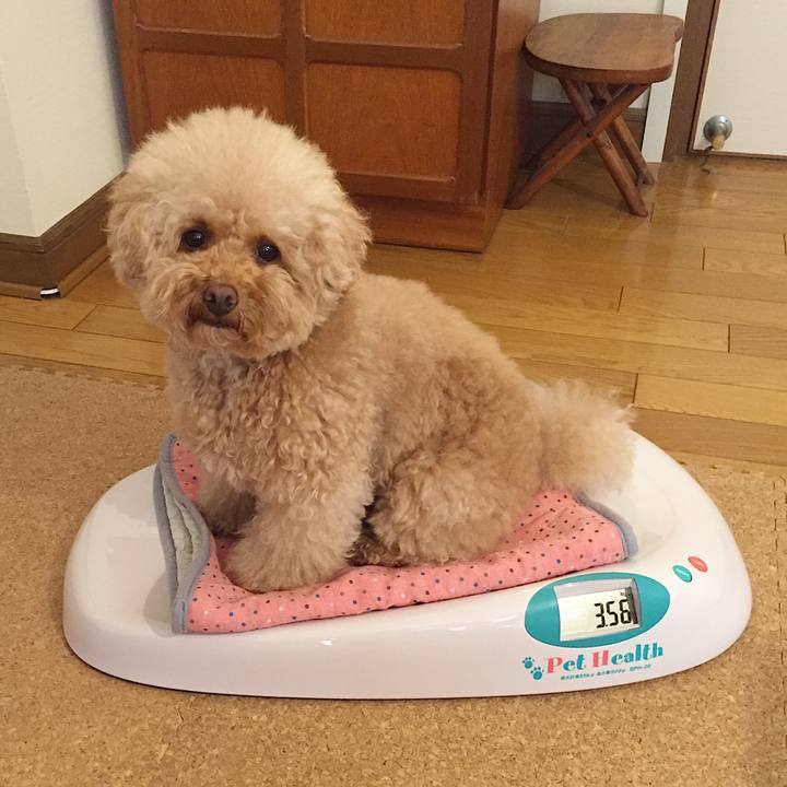 9cdead50 a625 43f8 8806 00b2eaf17e87