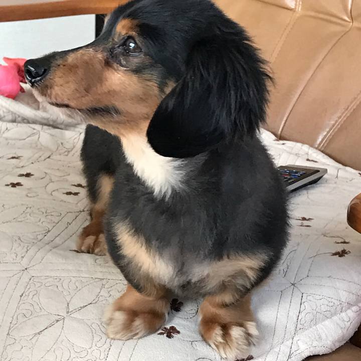 9cdf3a43 ec68 43cf af52 534bddbc9b5b