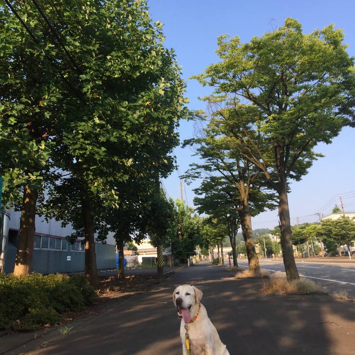 9cdfc5d8 d327 4260 83e0 a6aa632125bd