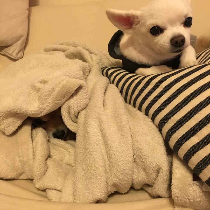 9cdfc8e1 d3aa 4d4b b9d5 861dcebe1e20