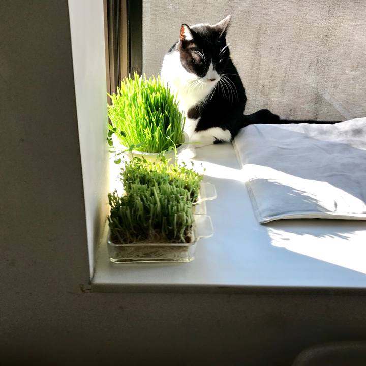 9ce096a3 2d92 4816 b31a 4de6434ad453