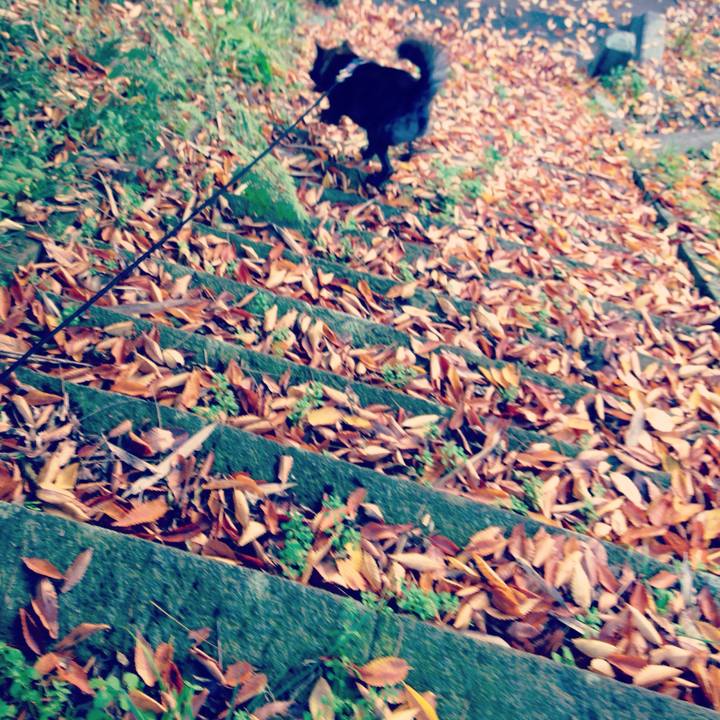 9ce12a58 3e7c 4aad 9cec 0b04ba17ad26