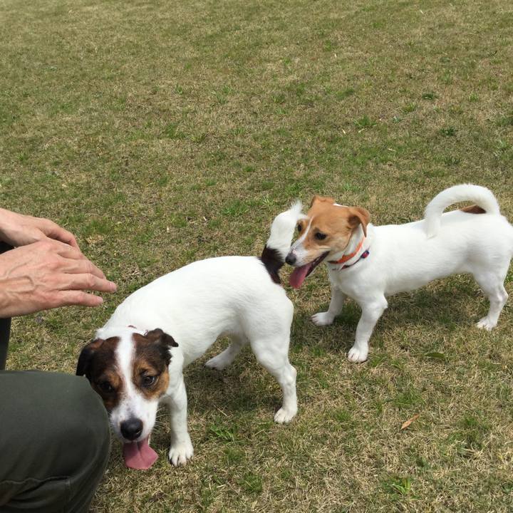 9ce14c38 a952 4db2 b90e 3c41c8a11932