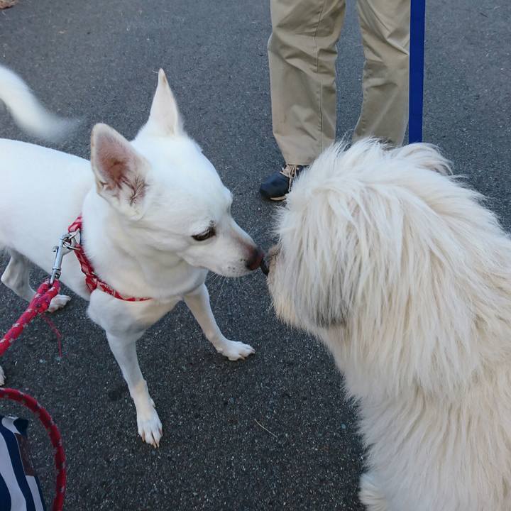 9ce2c575 0336 4065 9130 a48af35a905b