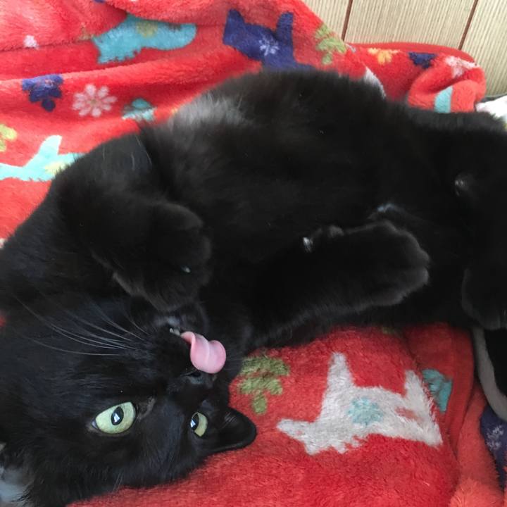 9ce38840 0c25 42c1 b6fb 5813d2966acc