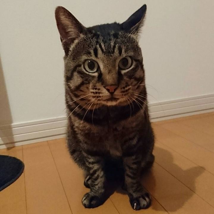 9ce3bce5 d3f9 42ff 8357 b79eb08b28a5